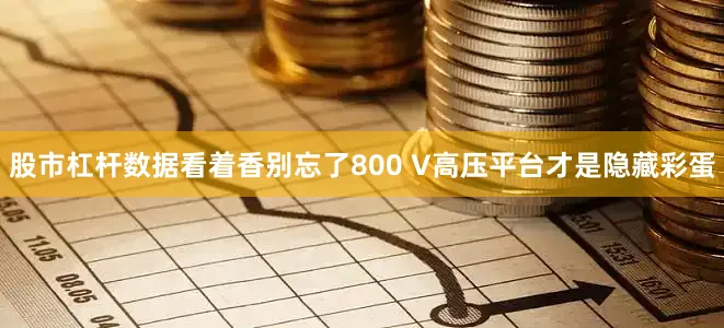 股市杠杆数据看着香别忘了800 V高压平台才是隐藏彩蛋