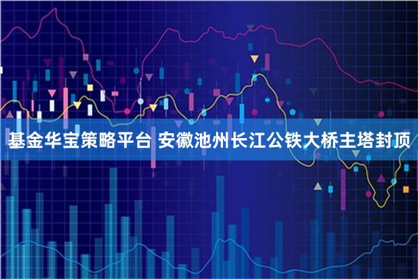 基金华宝策略平台 安徽池州长江公铁大桥主塔封顶