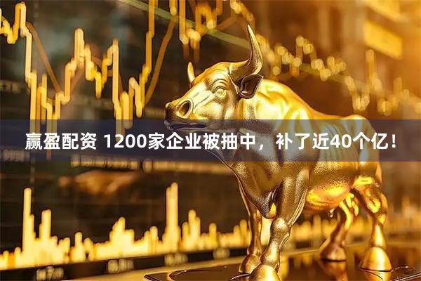赢盈配资 1200家企业被抽中，补了近40个亿！